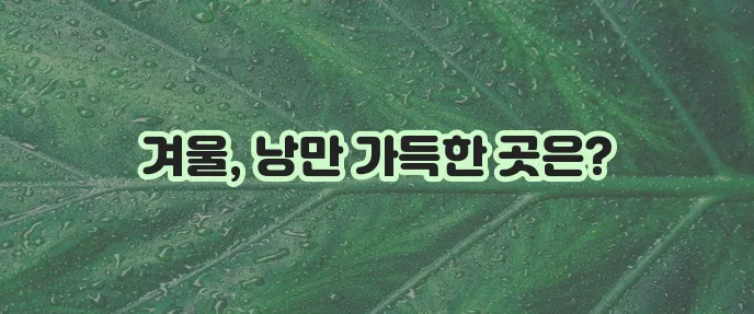 겨울 여행지 추천