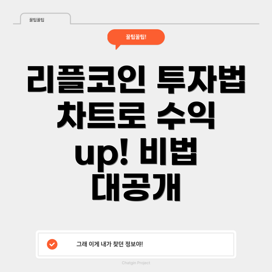 리플코인 투자 전략