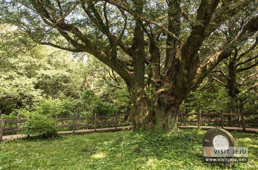 커플 여행 추천지