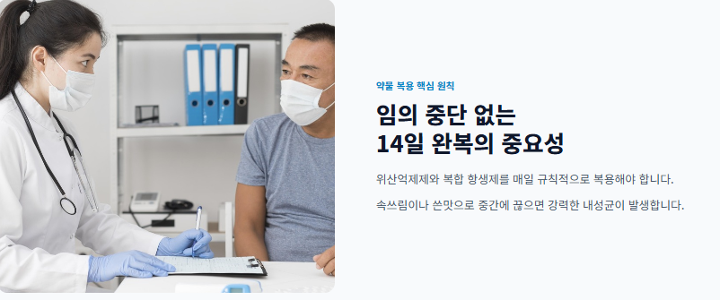 헬리코박터균 원인