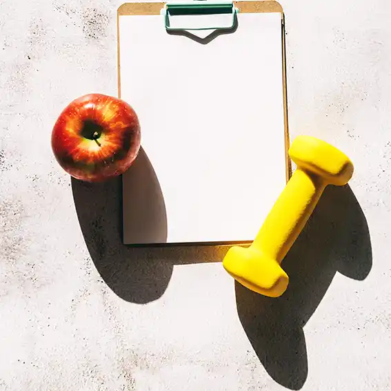 소포니네틴 체지방 감소