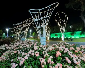 곡성 장미축제_27