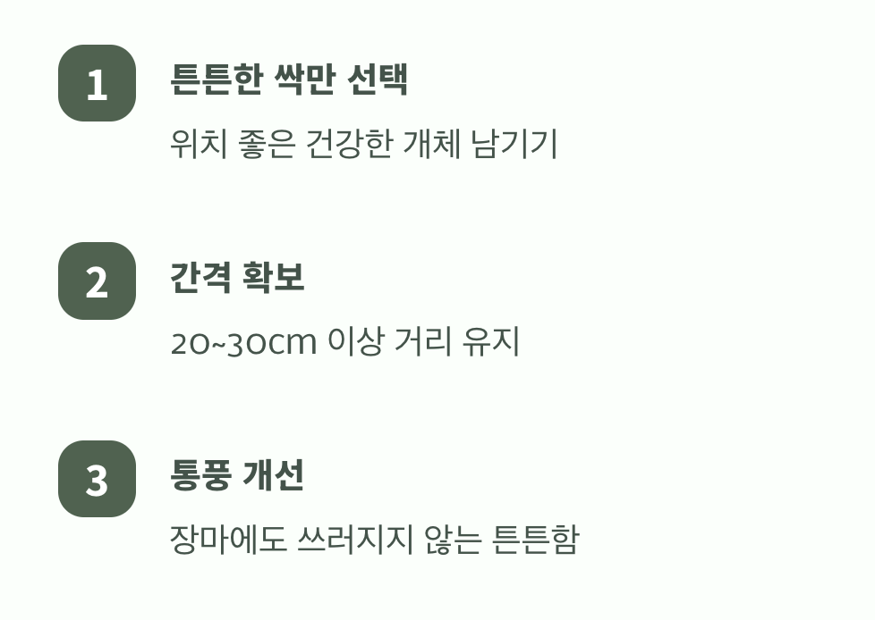 필요한 만큼만 남기는 '솎아내기'