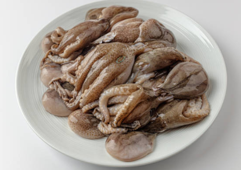 쭈꾸미 제철
