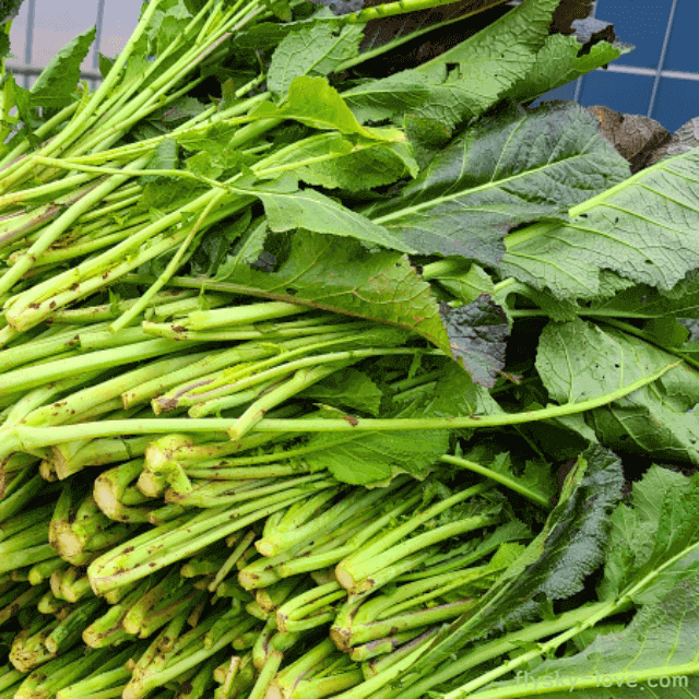 항산화 성분이 풍부한 갓