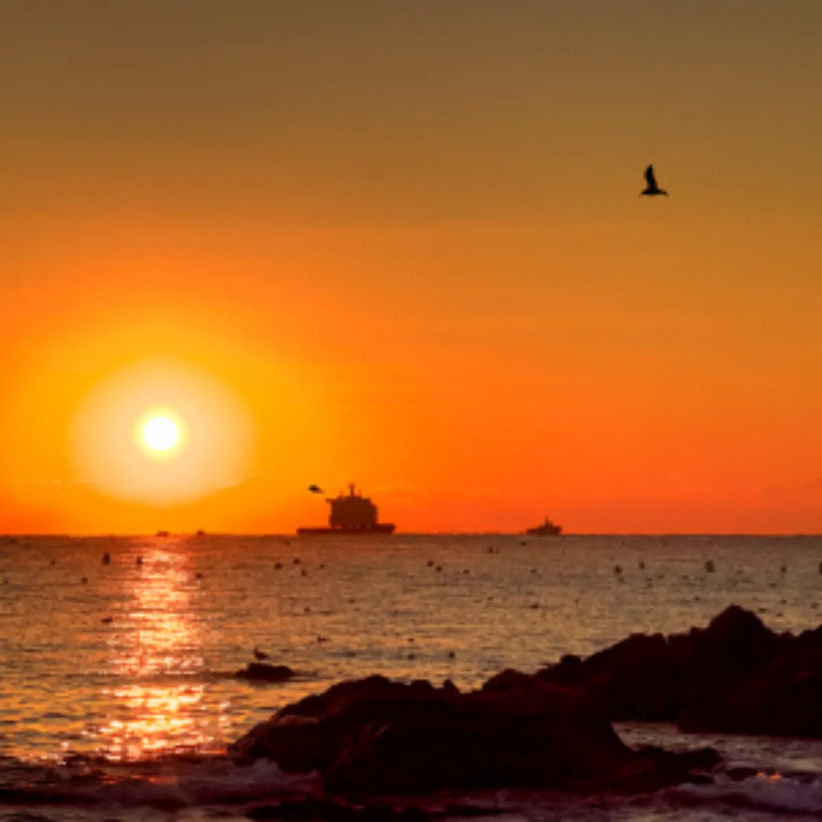 2025년 새해 일출 명소