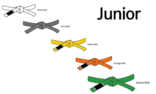 어린이 벨트 등급 순서