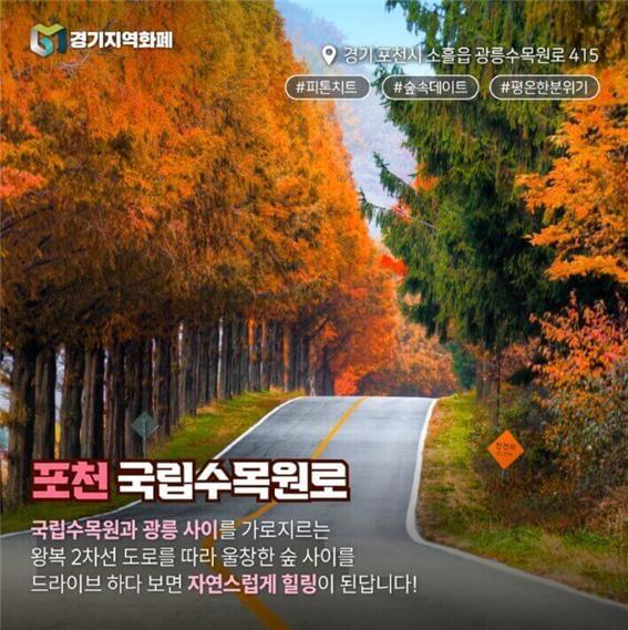 경기도 4계절 드라이브 코스 [ BEST 5]