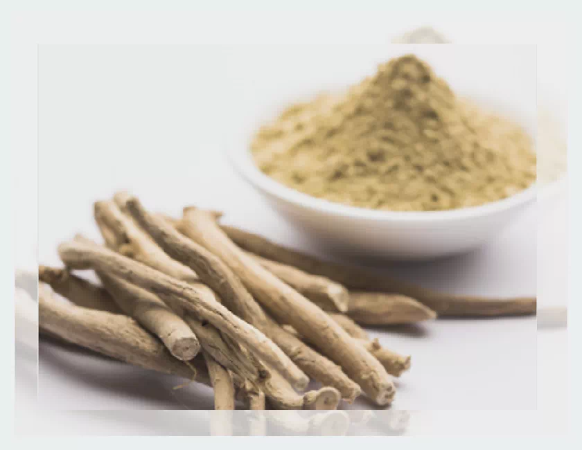 아슈와간다 분말