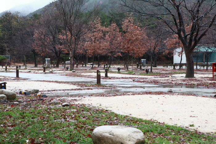 설악동자동차야영장