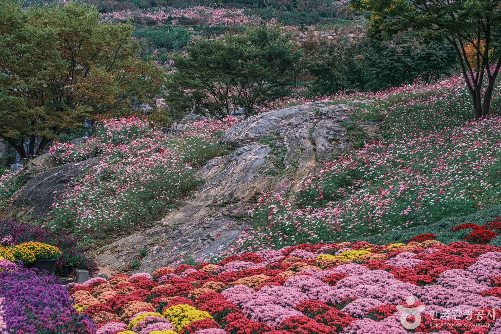 피나클랜드수목원
