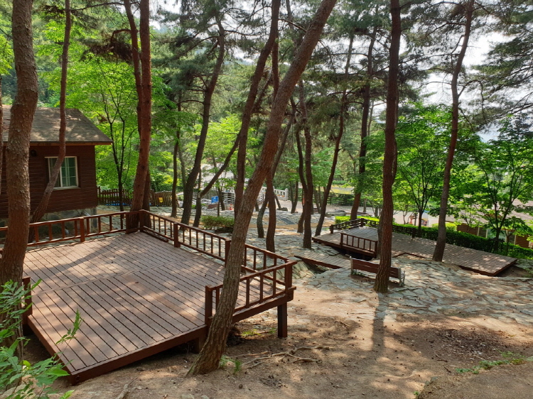 칠곡 송정자연휴양림