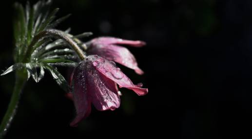 2025 장마 기간&amp;#44; 지역별 예상 일정