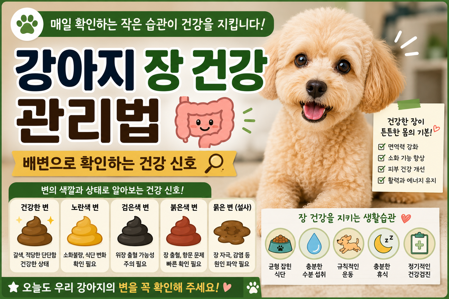 강아지 장 건강 관리법｜배변으로 확인하는 건강 신호