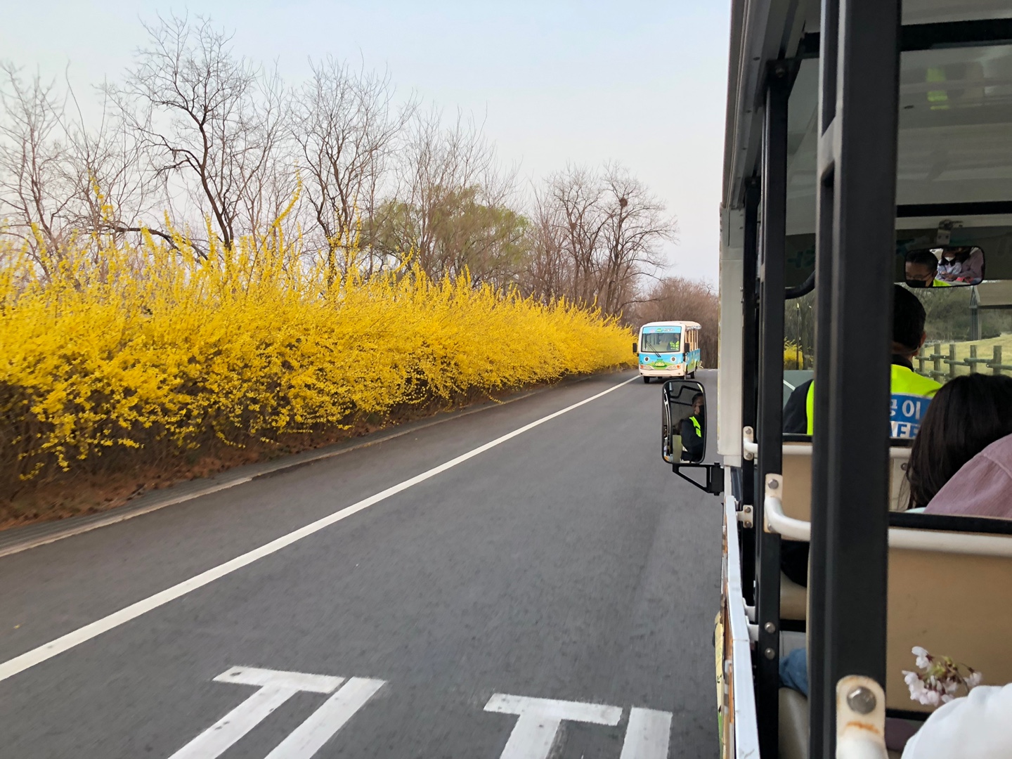 노을공원-맹꽁이차타고