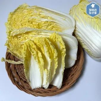 알배기 배추 물김치 담그는 법 및 보관 방법 총정리_8