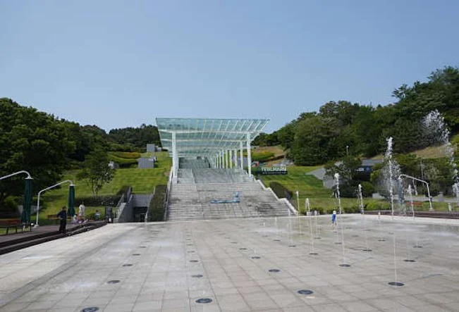 장도