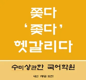 좇다 쫓다 맞춤법 맞는 표현 예문_15