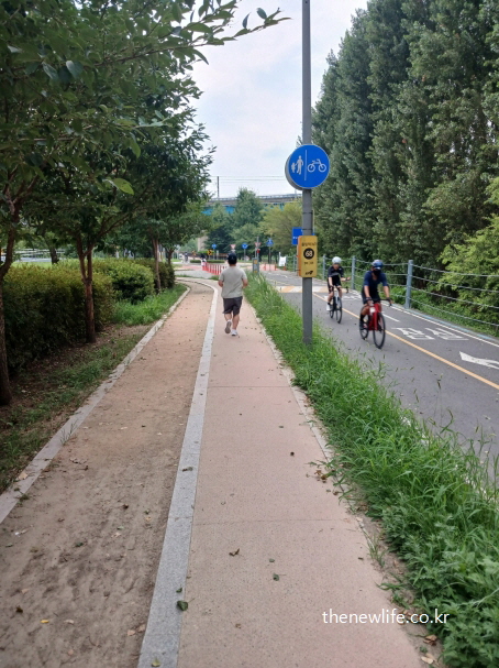 흙길과 시멘트 길이 나란히 있는 산책로에서 낮에 슬로우 조깅을 하는 모습