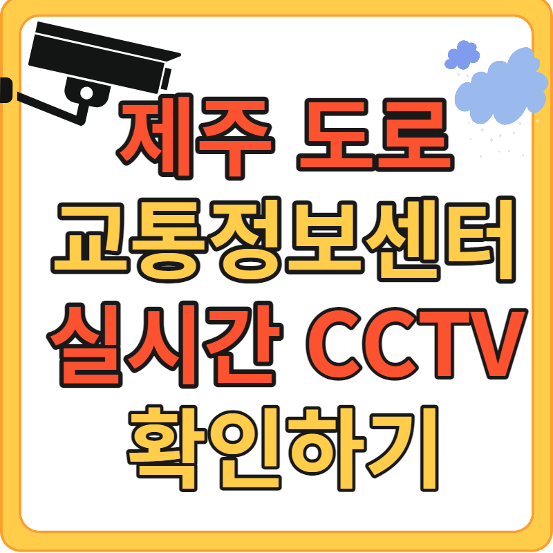 제주도 실시간 도로 상황 CCTV로 알아보기