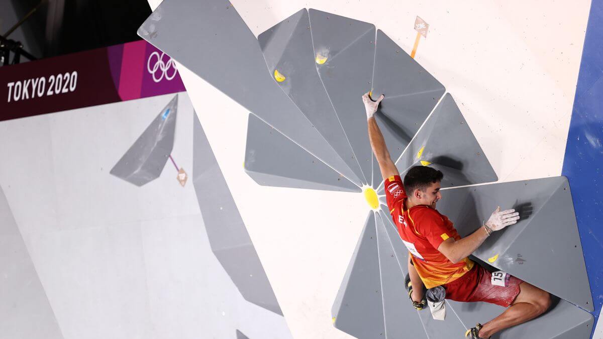 신규종목들 파리올림픽