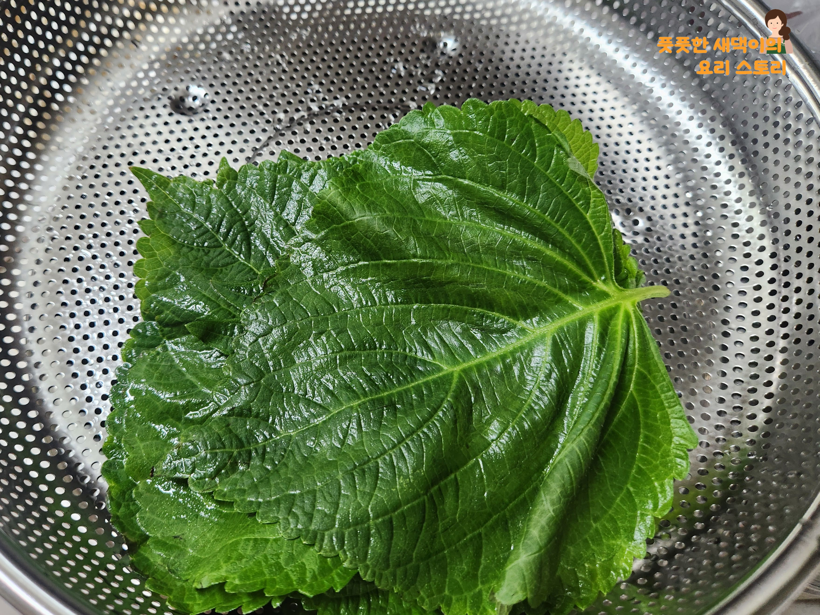 깻잎 세척해주기