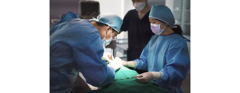 광주 광산구 동물병원