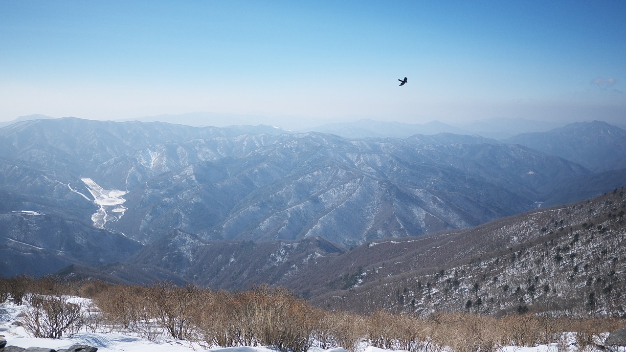 강원도 태백산 정상