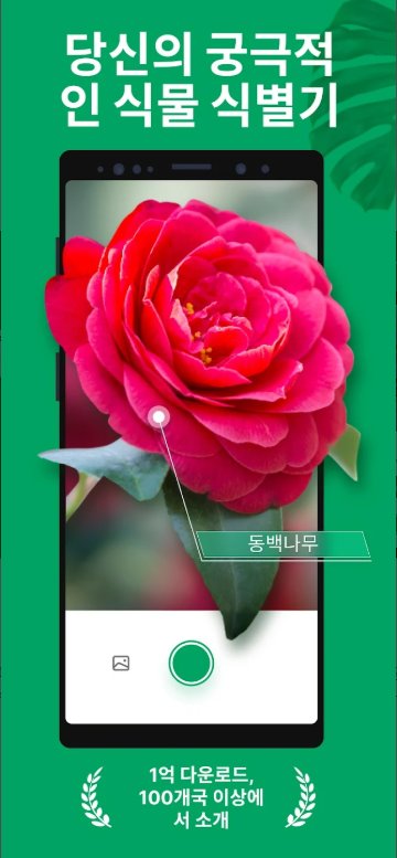 꽃 이름 찾기 어플, AI 사진 인식 꽃 & 식물 찾기
