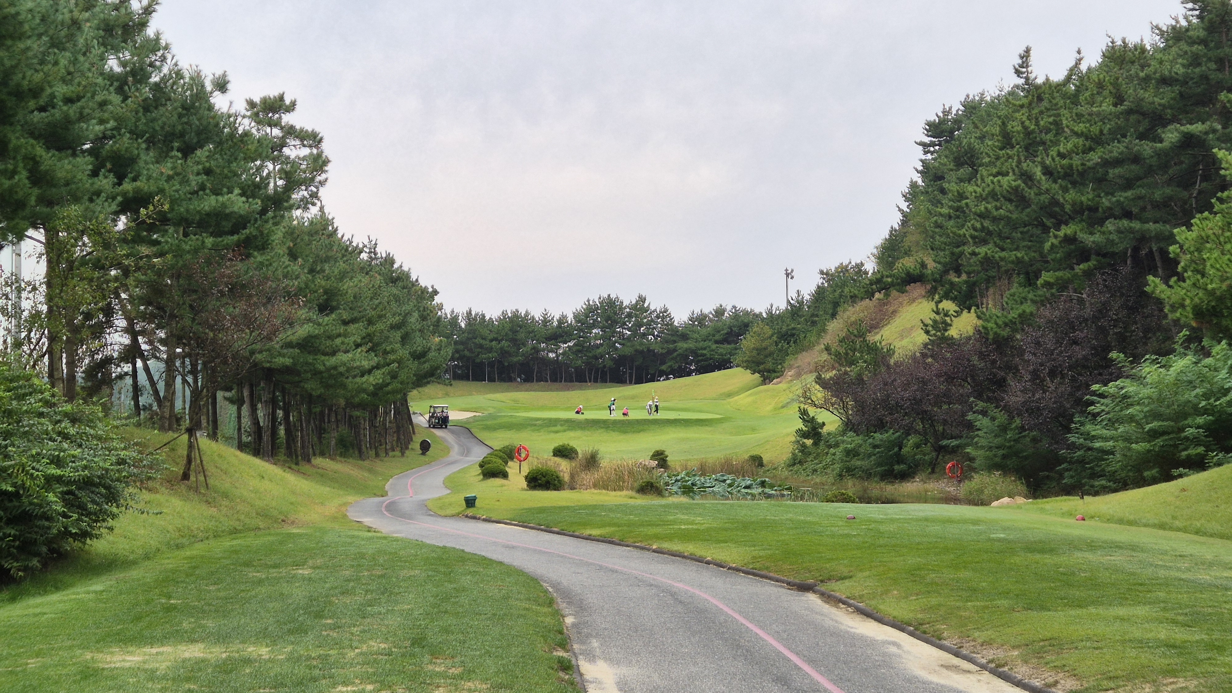 서산수cc 코스 사진 및 공략 정보