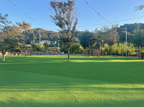 강아지 동반 여행지 추천