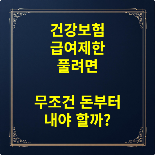 건강보험 급여제한 풀려면 무조건 돈부터 내야 할까