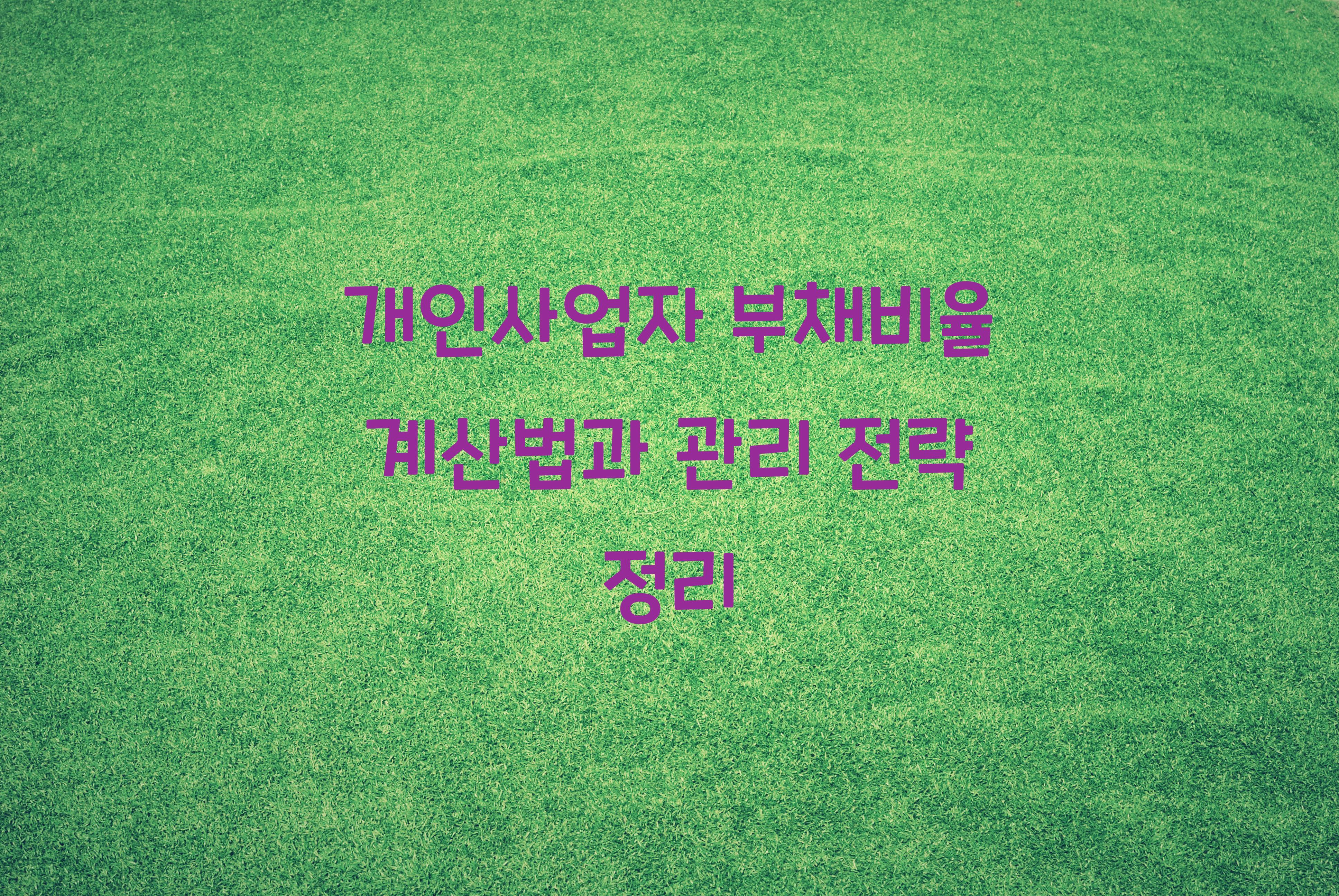 개인사업자 부채비율 계산법