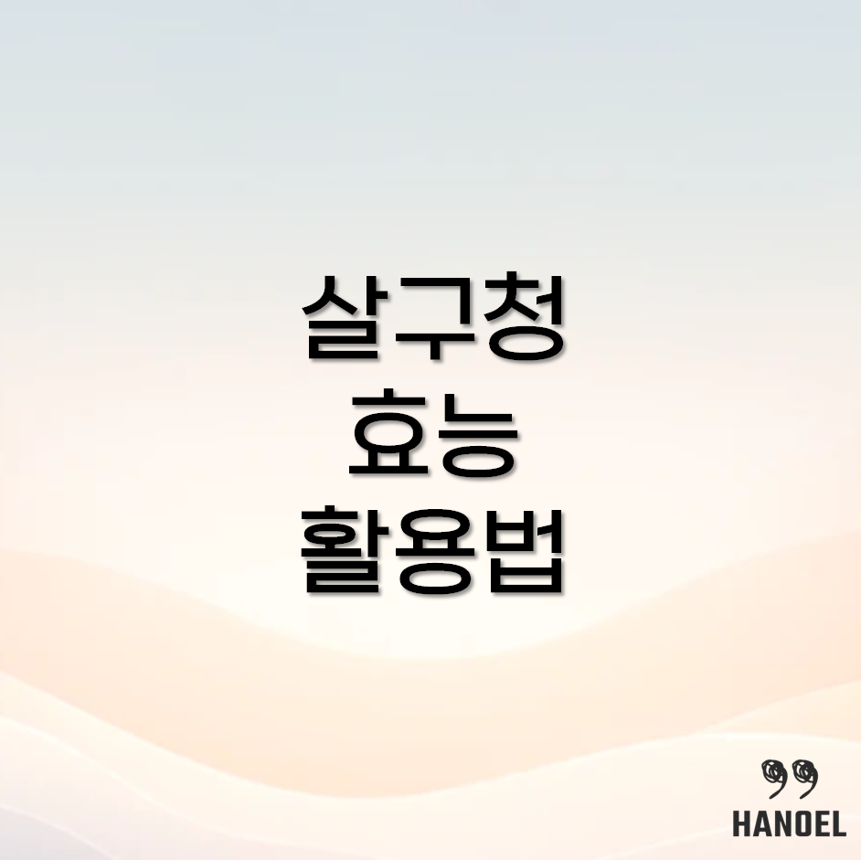 살구청 효능