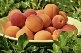 복숭아 보관방법