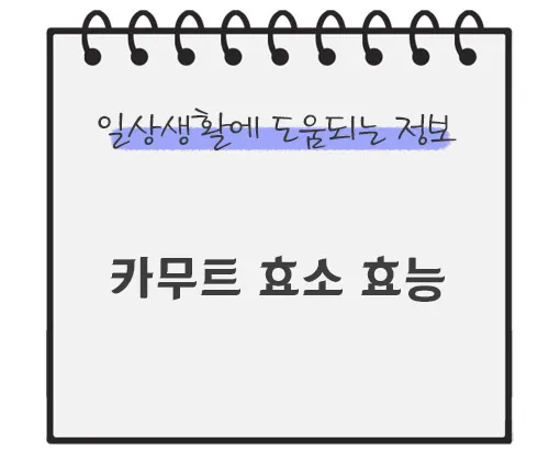 카무트-효소-효능-먹는법