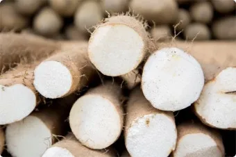 마 효능 보관법 먹는법 마즙 만들기까지 종합 가이드_7