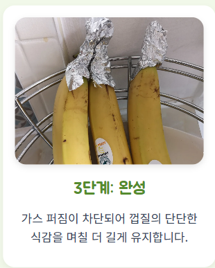 바나나 보관법