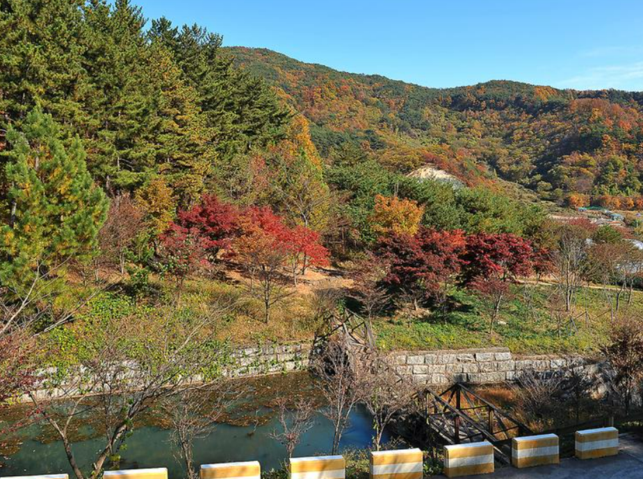 숲이 우거지고 앞은 강이 흐르는 풍경