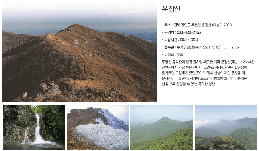 진안 꽃 잔디