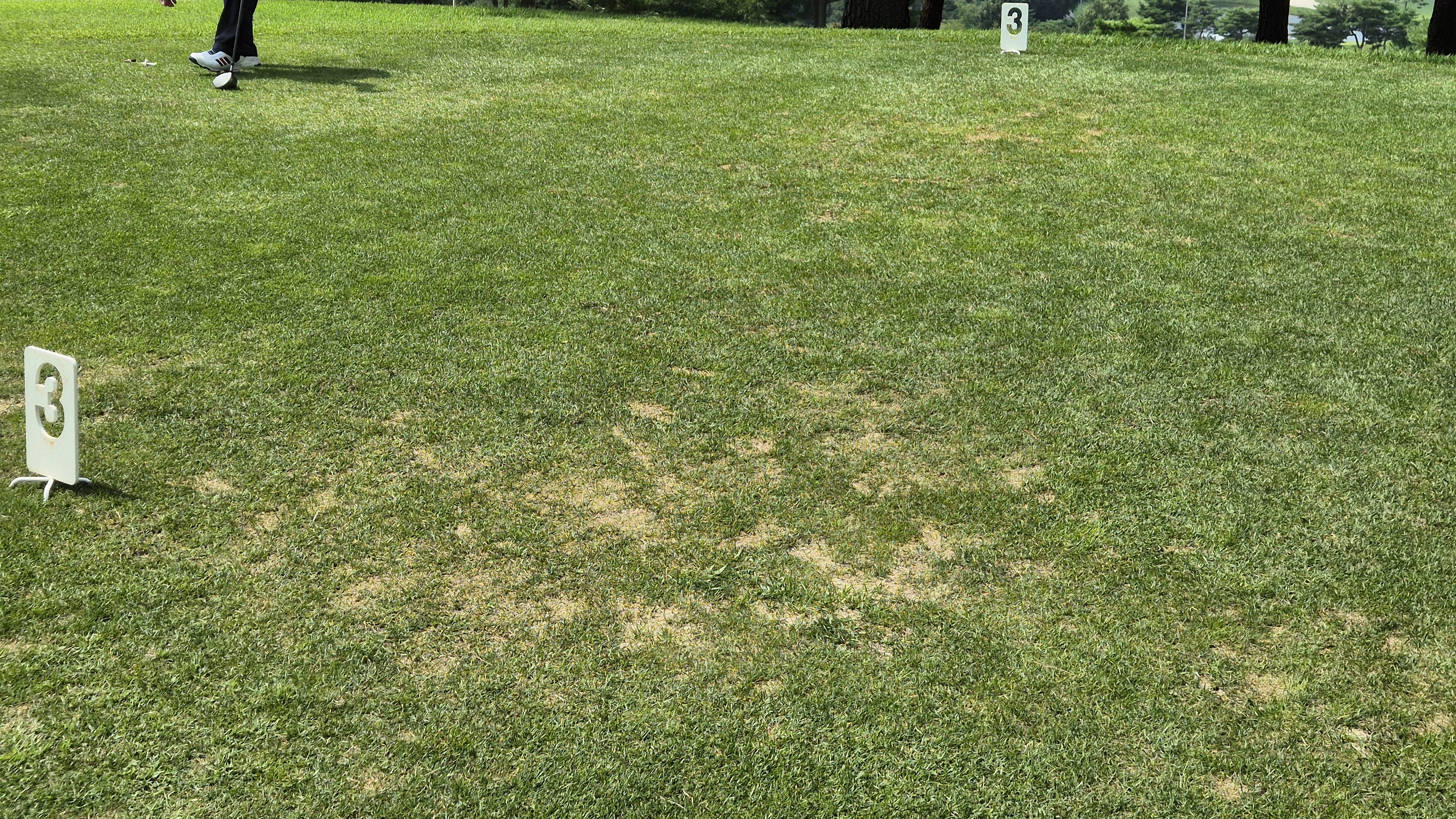 골프존카운티 안성H