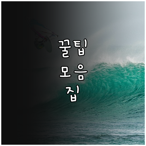 2025 낚시 전문교육 대상별 맞춤 ..