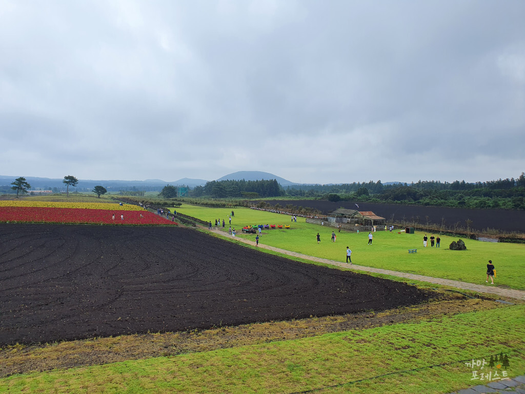 표선 보롬왓 보롬왓 밭