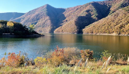 옥천6경-장계관광지-2