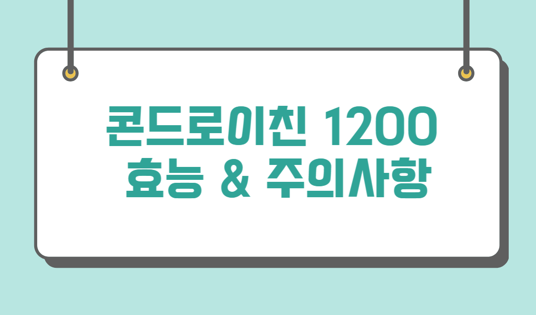 콘드로이친1200 효능 주의사항