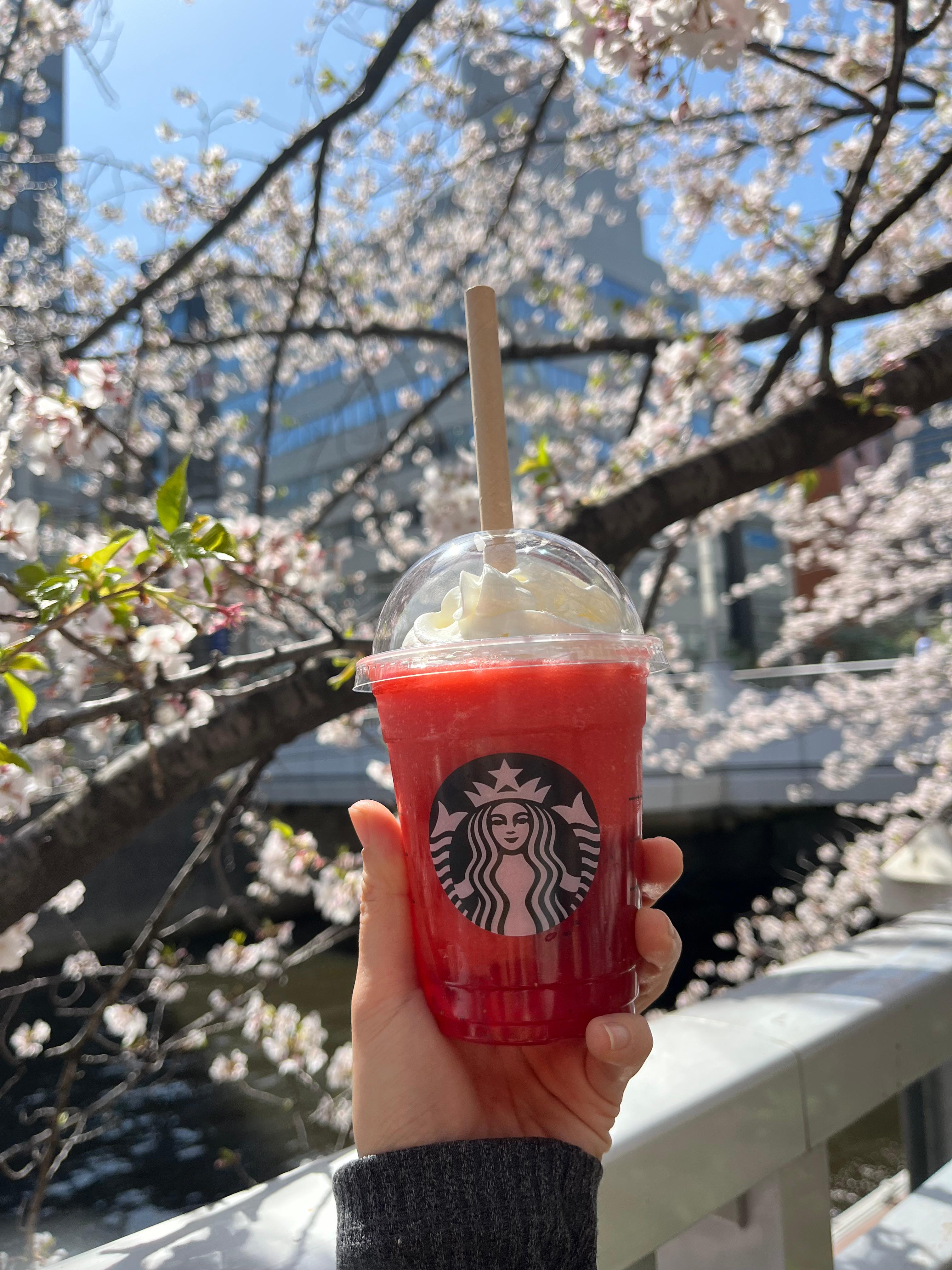 THE 딸기 프라푸치노