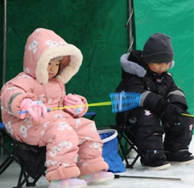 평창 송어 축제