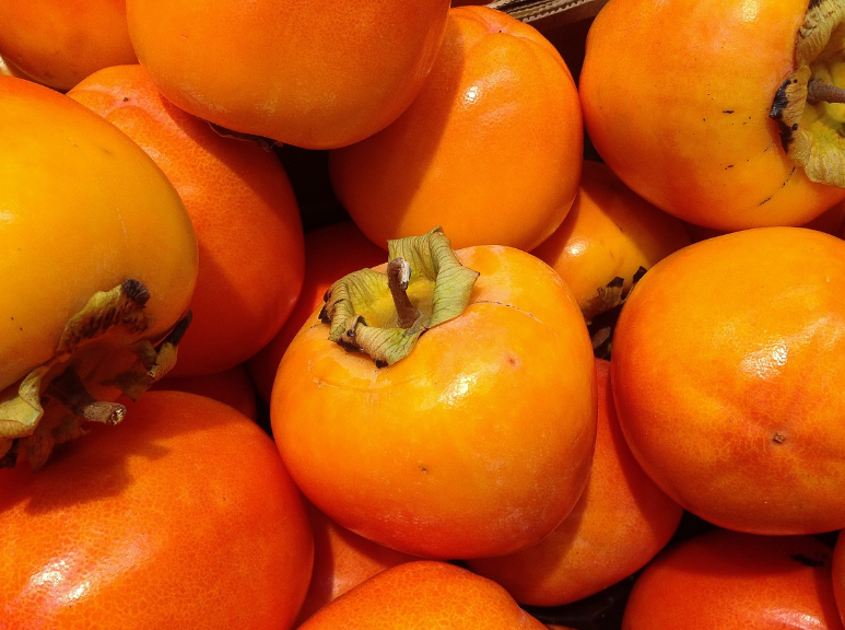 9~10월 가을 제철 과일 감