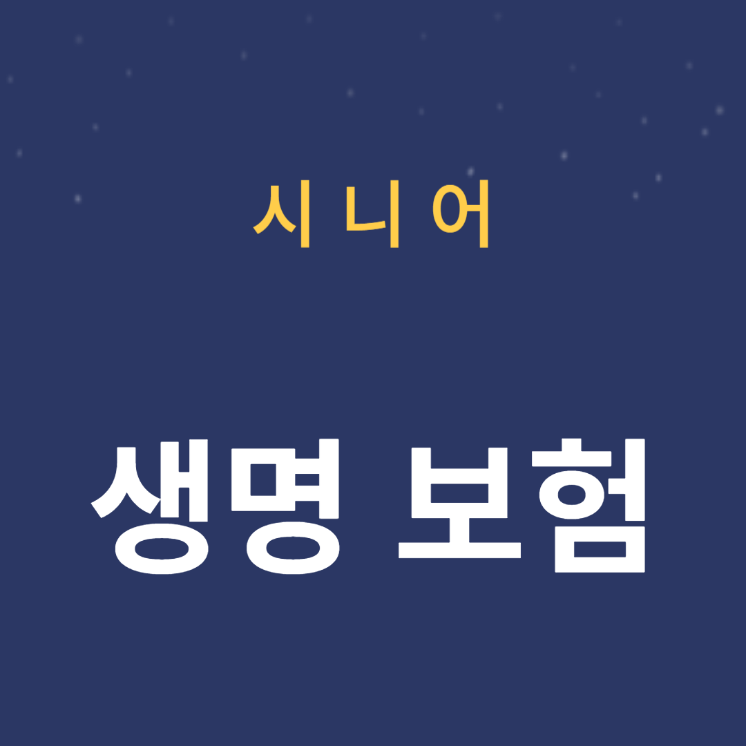 시니어 생명보험: 선택 시 고려해야 할 사항