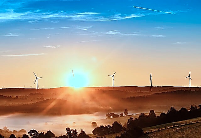 2024년 징검다리 휴일